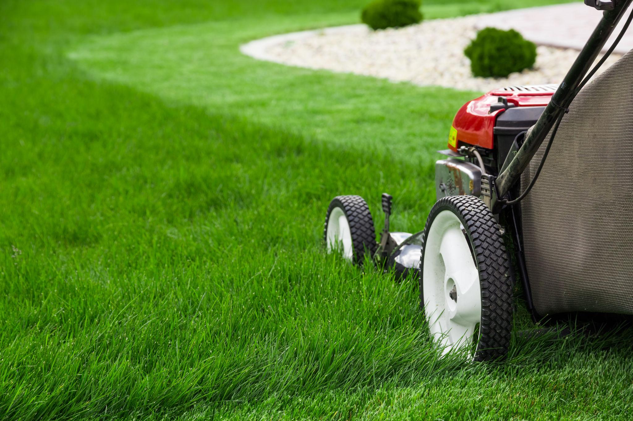 flexible lawn care service