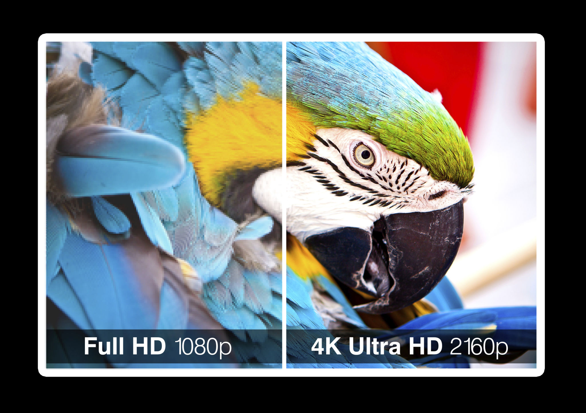 video quality check