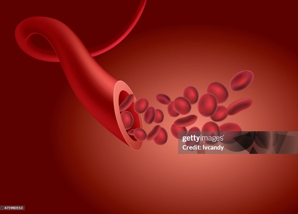 Blood Vessel