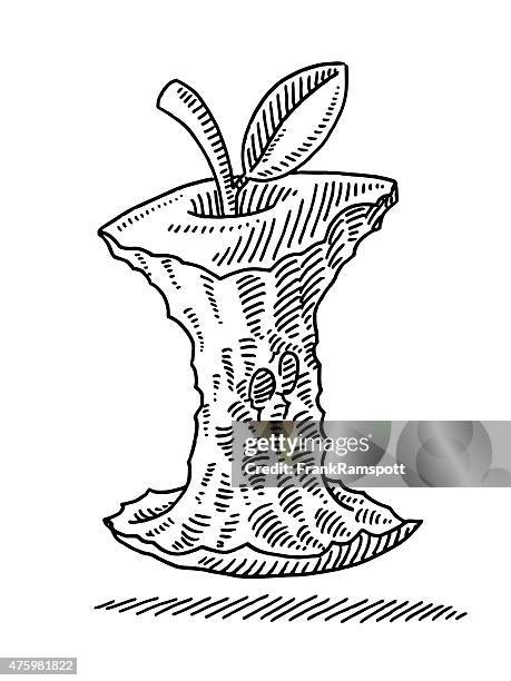 apple core gegessen obst zeichnung - cores stock-grafiken, -clipart, -cartoons und -symbole