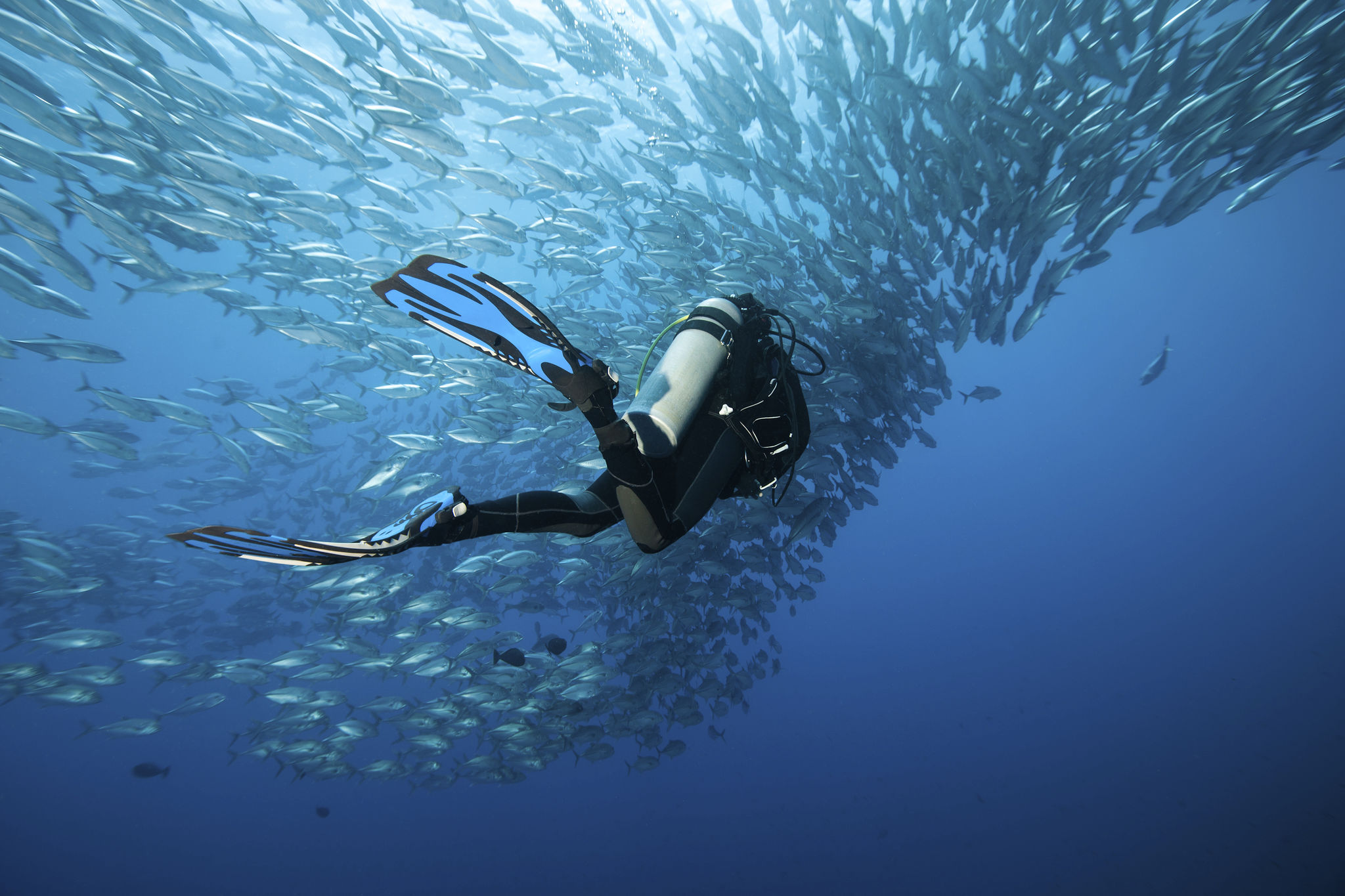 scuba school