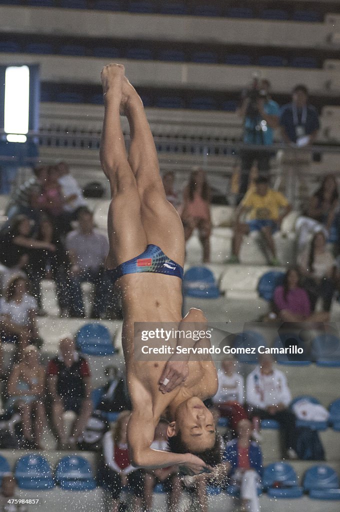 FINA Diving Qualifiers for Nanjing 2014 - Day 1