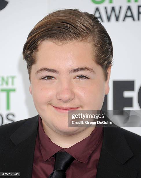 Michael Gandolfini arrives at the 2014 Film Independent Spirit Awards on March 1, 2014 in Santa Monica, California.