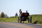 Amish Horse and Cart in Lancaster, Pennsylvania