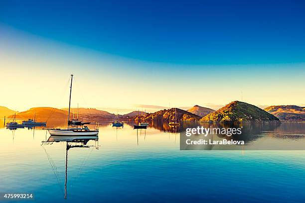 port chalmers na península de otago, nova zelândia. - dunedin new zealand - fotografias e filmes do acervo