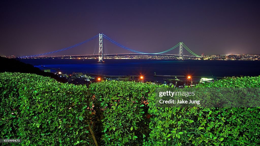 Night view of colorfully lit Akashi-Kaikyo Bridge
