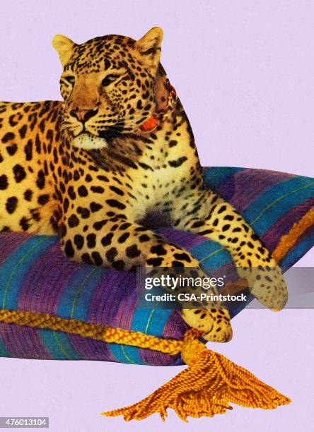 leopard resting on pillow - cushion stock illustrations
