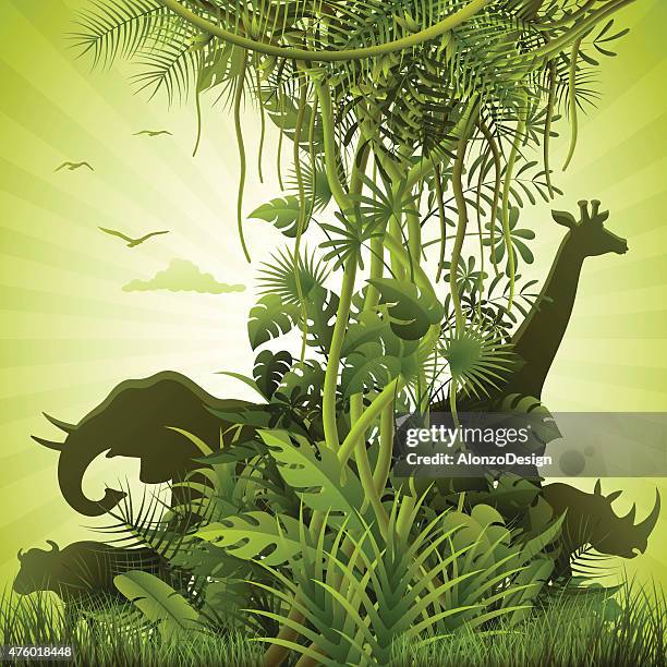 afrikanische savannah - tropischer regenwald stock-grafiken, -clipart, -cartoons und -symbole