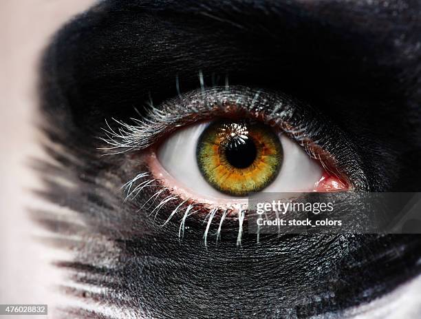 green eye with makeup - iris family stock pictures, royalty-free photos & images