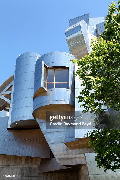 Frank Gehry's Frederick R. Weisman Art Museum on the University of Minnesota campus on May 21, 2015 in Minneapolis, Minnesota.