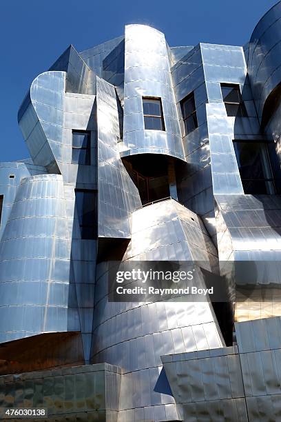 Frank Gehry's Frederick R. Weisman Art Museum on the University of Minnesota campus on May 21, 2015 in Minneapolis, Minnesota.