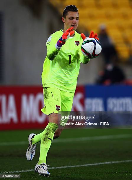 Goalkeeper Tino Casali of Austria catches the ball during the FIFA U-20 World Cup New Zealand 2015 Group B match between Austria and Argentina at...