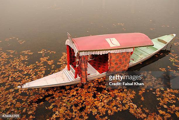 autumn colors - dal lake imagens e fotografias de stock