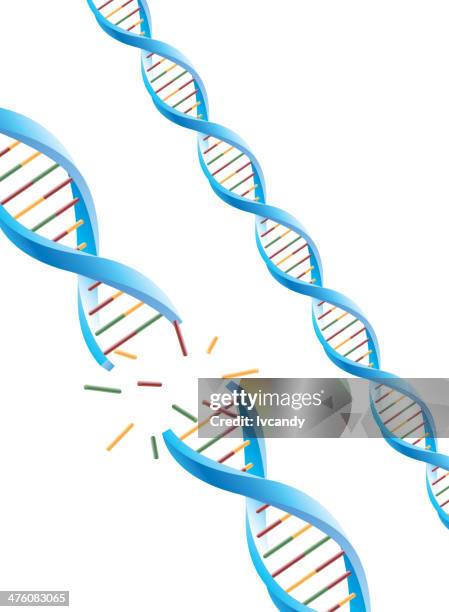 ilustrações, clipart, desenhos animados e ícones de dna molecular - cromossoma