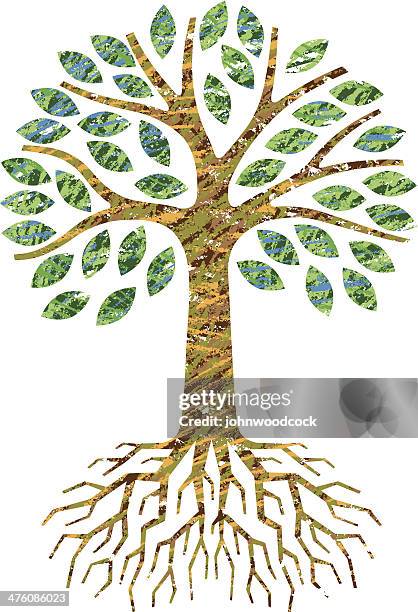 Tree Roots Texture Vector 1,426 Tree Root Texture Stock Photos, High-Res Pictures, and Images ...