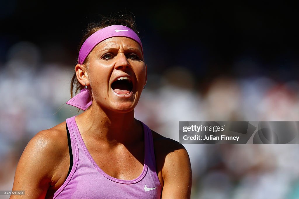 2015 French Open - Day Fourteen