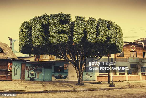 Techa Ecuador Tena Ecuador Photos and Premium High Res Pictures - Getty Images