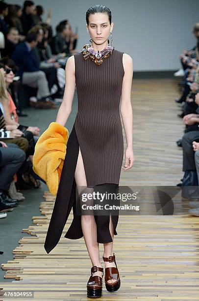 Model walks the runway at the Celine Autumn Winter 2014 fashion show during Paris Fashion Week on March 2, 2014 in Paris, France.