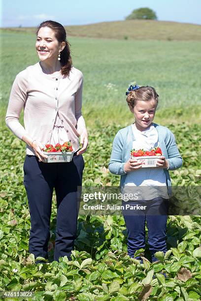 Princess Isabella of Denmark, accompanied by her mother Crown Princess Mary of Denmark visits a Strawberry Farm during her first day of official...