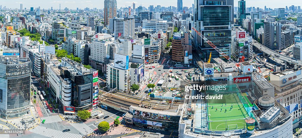 Shibuya Crossing Aerial Panorama