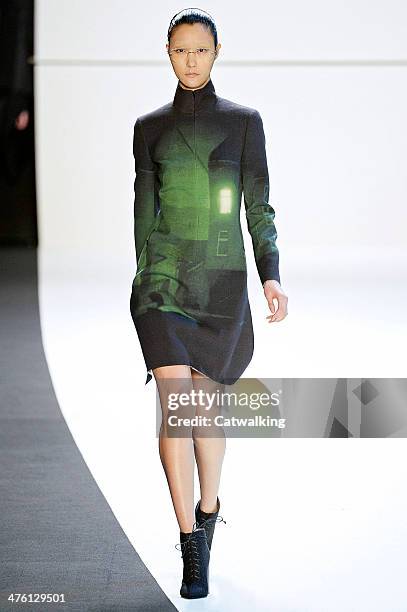 Model walks the runway at the Akris Autumn Winter 2014 fashion show during Paris Fashion Week on March 2, 2014 in Paris, France.