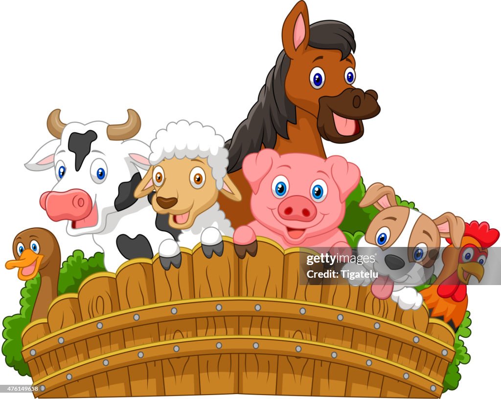 Les Animaux De La Ferme Dessin Animé Collection De Dessin Animé Animaux De La Ferme Illustration - Getty Images