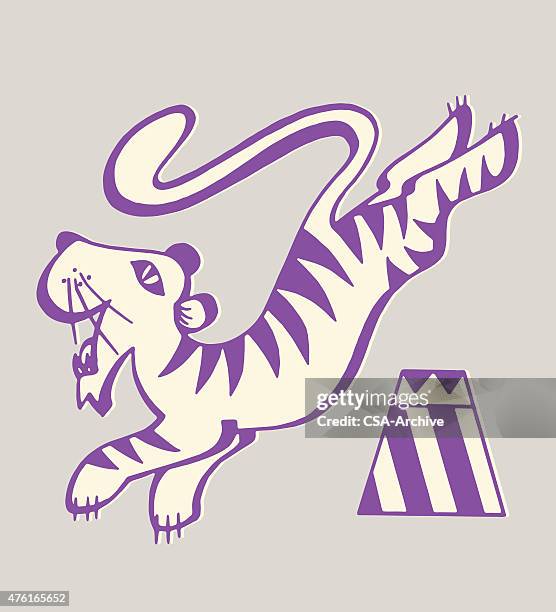 tiger leaping - circus animals stock illustrations