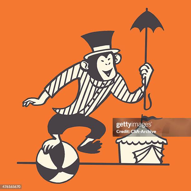 performing monkey on ball - circus animals stock illustrations