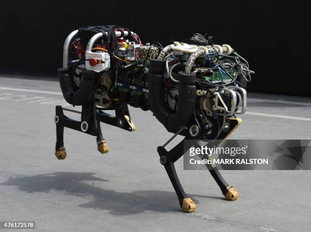 A robotic cheetah runs during a demonstration at the finals of the... News  Photo - Getty Images