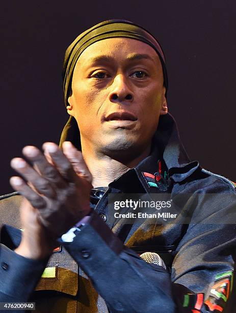 Prof Griff 340 Professor Griff Photos & High Res Pictures - Getty Images