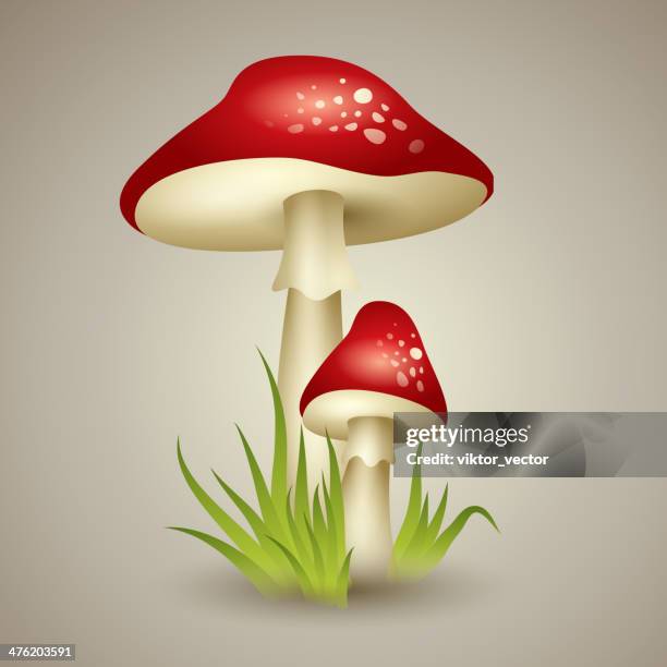 stockillustraties, clipart, cartoons en iconen met illustration of mushroom - eetbare paddenstoel