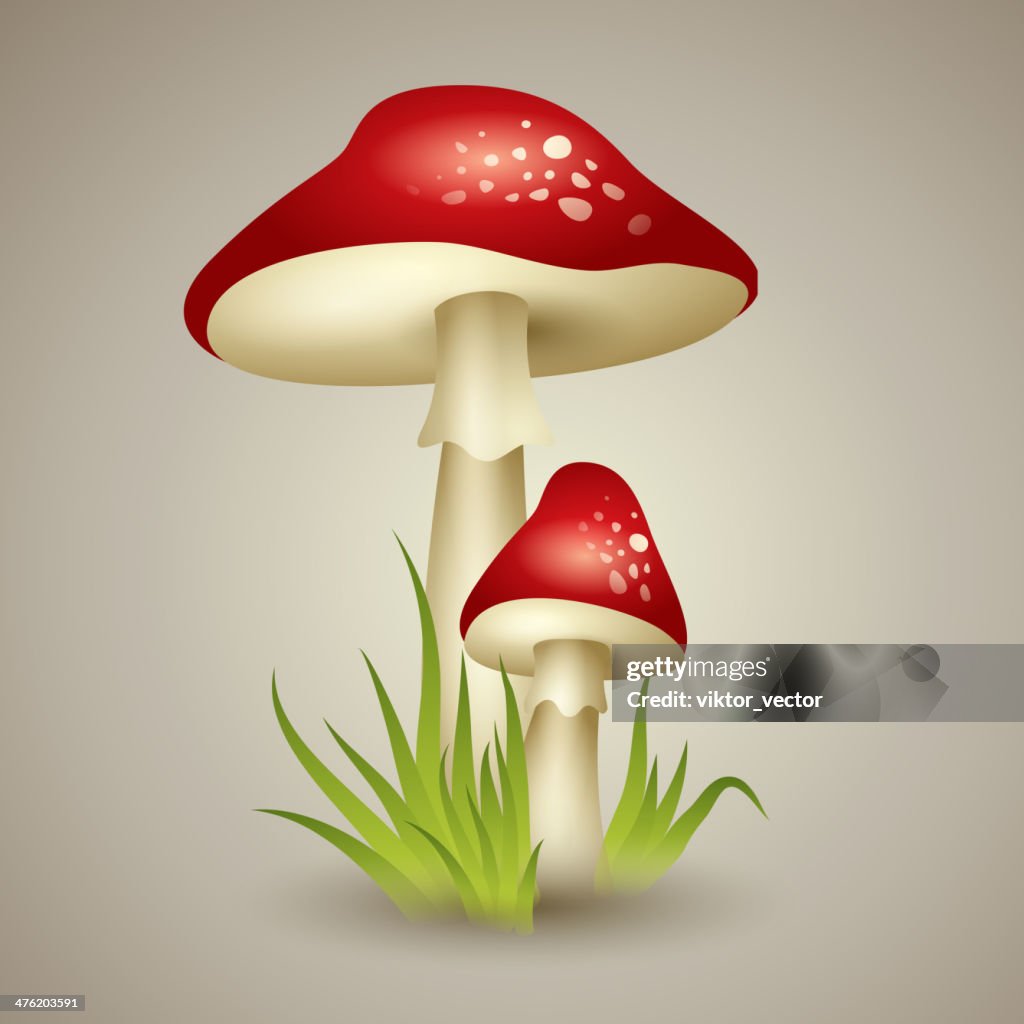 Illustration of Mushroom