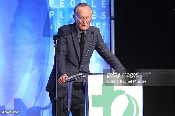 Scott Johnson speaks onstage during the Global Green USA 19th Annual Millennium Awards on June 6, 2015 in Century City, California.