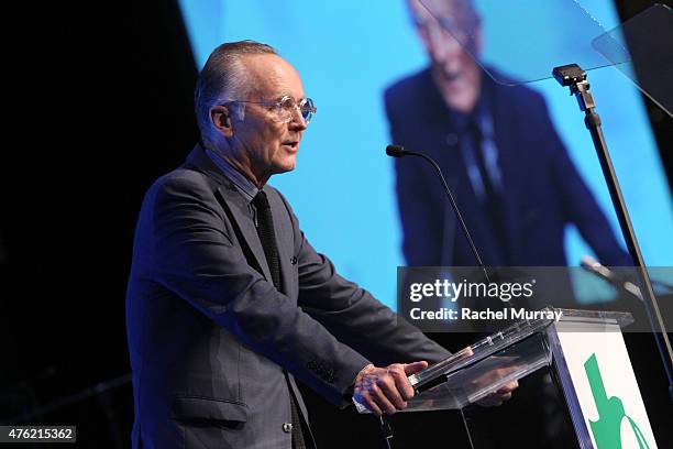 Scott Johnson speaks onstage during the Global Green USA 19th Annual Millennium Awards on June 6, 2015 in Century City, California.