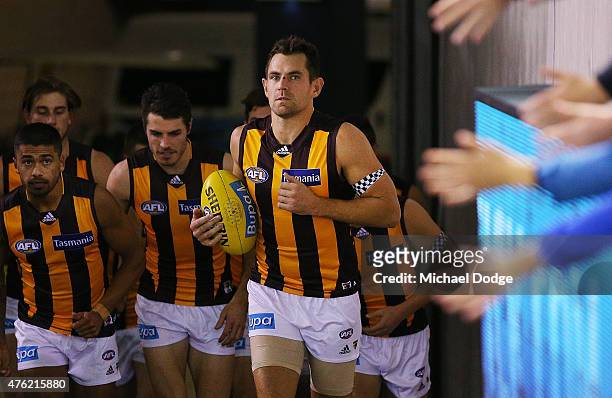 Luke Hodge of the Hawks is greeted by fans as he leads the team out during the round 10 AFL match between the St Kilda Saints and the Hawthorn Hawks...