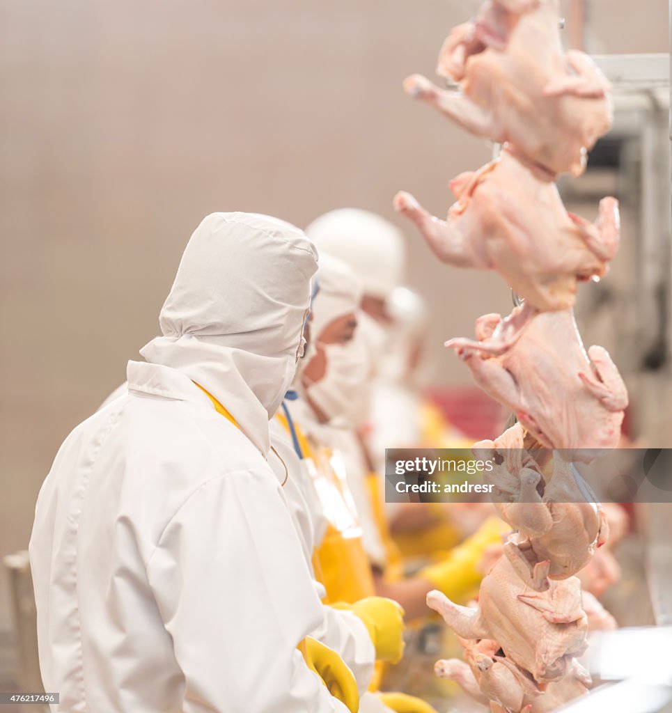 People working at a chicken factory