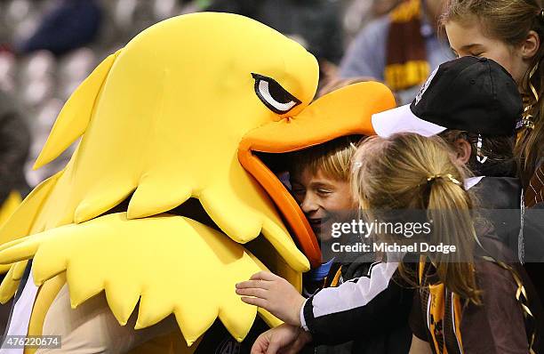 Hawk fan gets swallowed up by the Hawks mascot during the round 10 AFL match between the St Kilda Saints and the Hawthorn Hawks at Etihad Stadium on...
