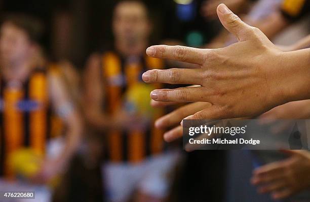 Hawks fans wait for players to come out during the round 10 AFL match between the St Kilda Saints and the Hawthorn Hawks at Etihad Stadium on June 7,...