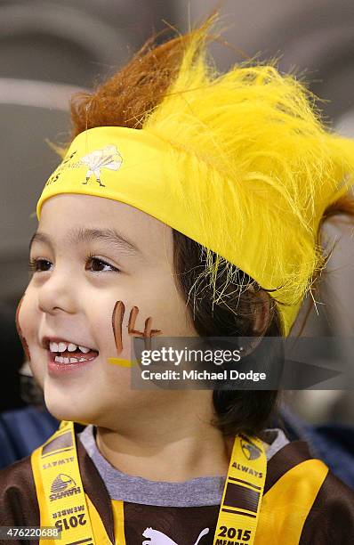 Hawks fan shows his support during the round 10 AFL match between the St Kilda Saints and the Hawthorn Hawks at Etihad Stadium on June 7, 2015 in...