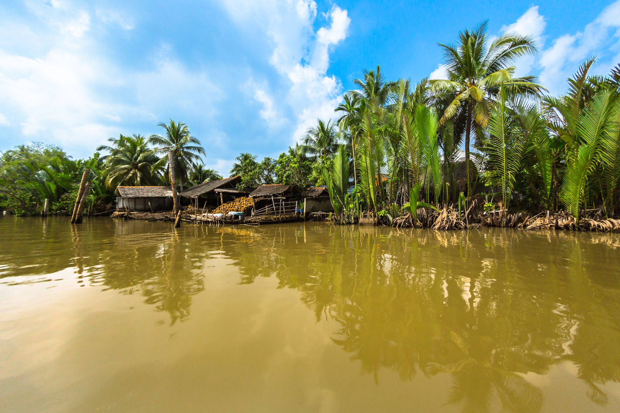 Mekong Delta in Ben Tre Mekong Delta in Ben Tre