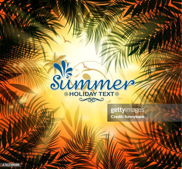 601 Bird Flying Frame By Frame Stock Photos, High-Res Pictures, and ...