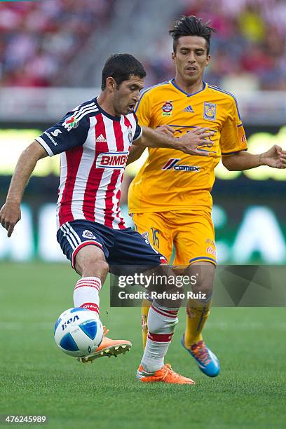 Israel Castro of Chivas, fights for the ball with Lucas Lobos of Tigres UANL, during a match between Chivas and Tigres UANL as part of ninth round of...