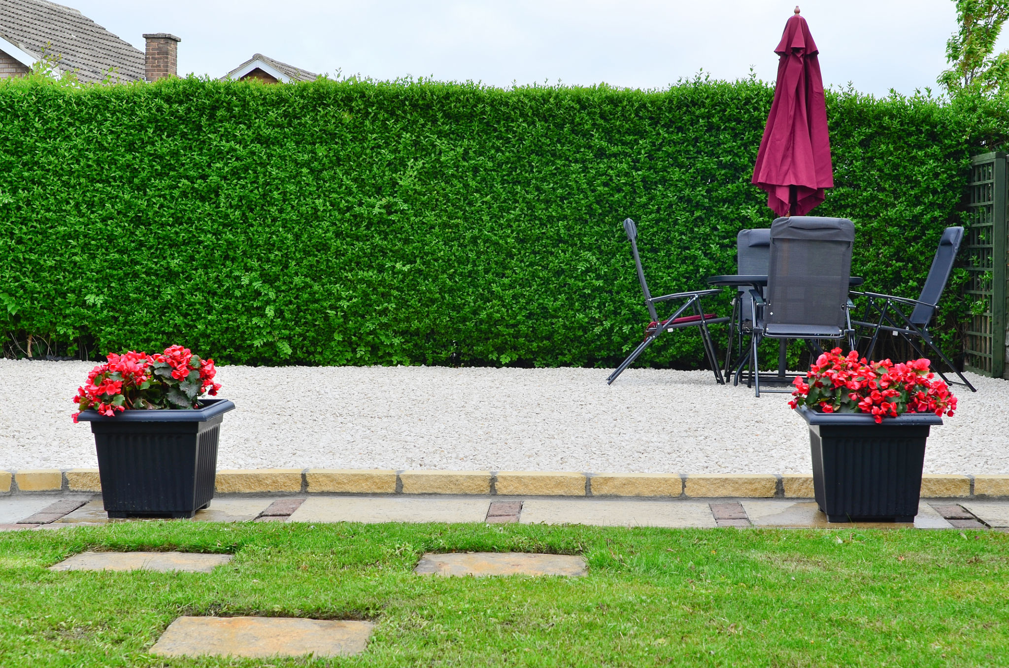 privacy hedge