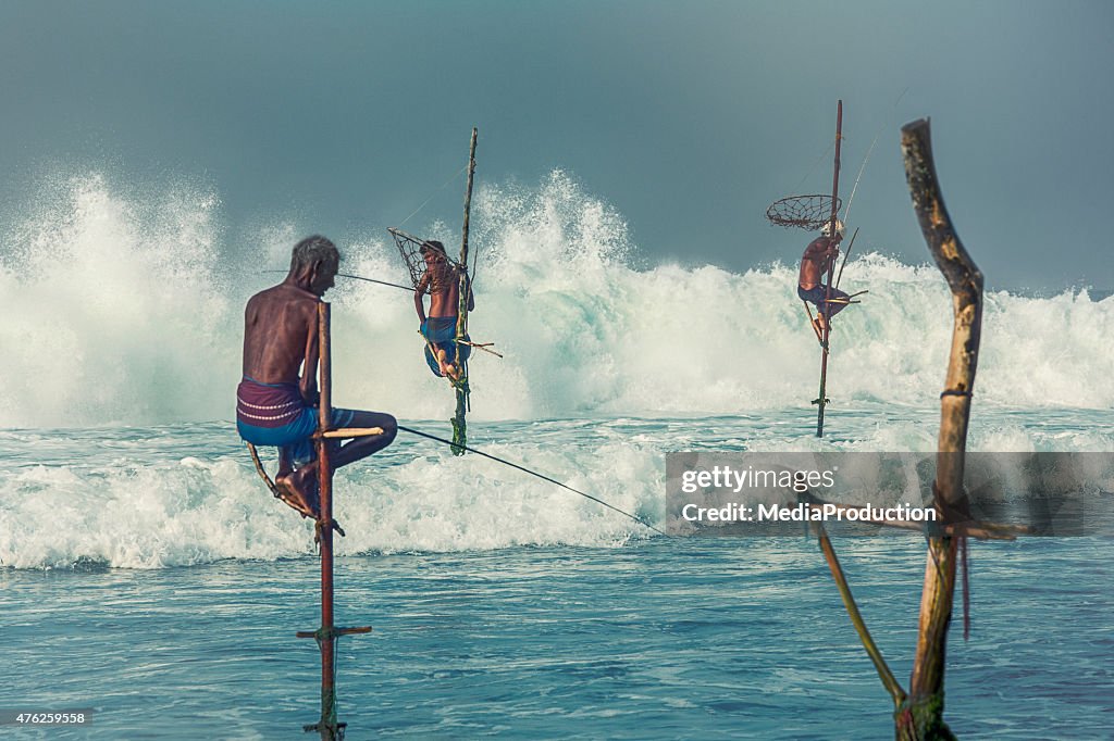 Stilt fishermen of Sri Lanka