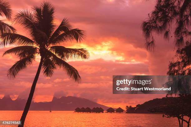 tahiti sunset - tahiti stock pictures, royalty-free photos & images