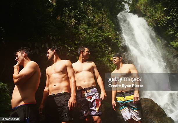 Mitch Marsh, Mitchell Starc, Josh Hazlewood and Shane Watson of Australia walk up to Trafalgar Falls during the Australian Cricket Team's visit to...