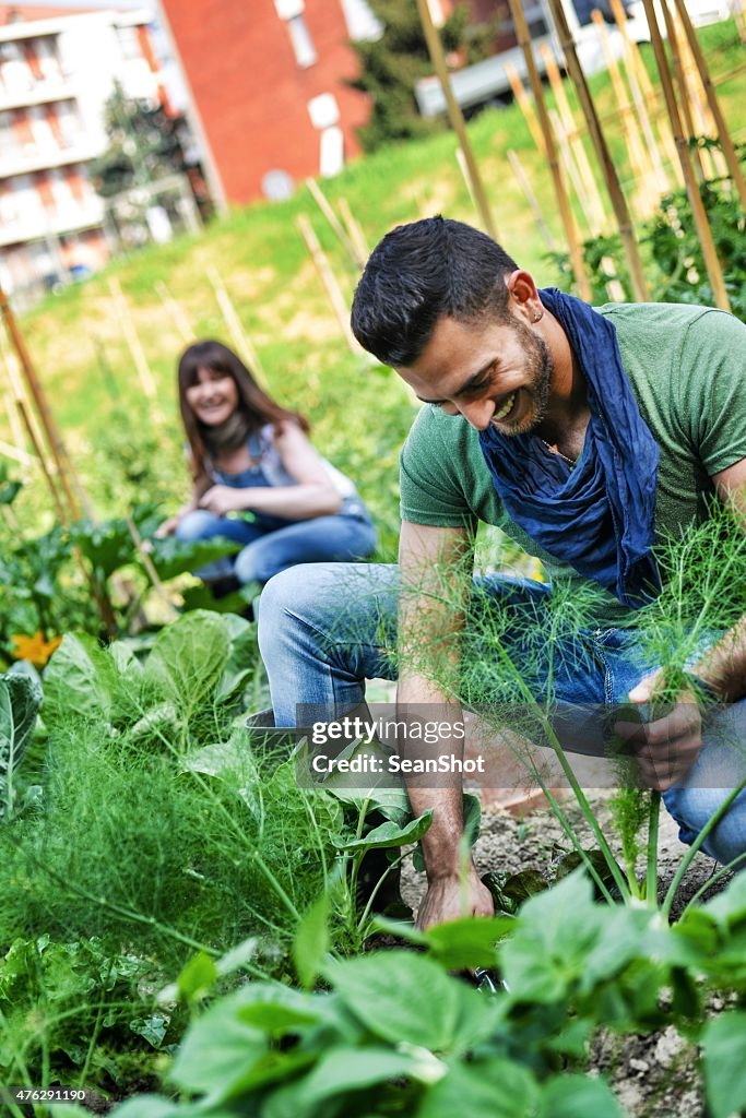 People Working in a Urban City Vegetables Garden