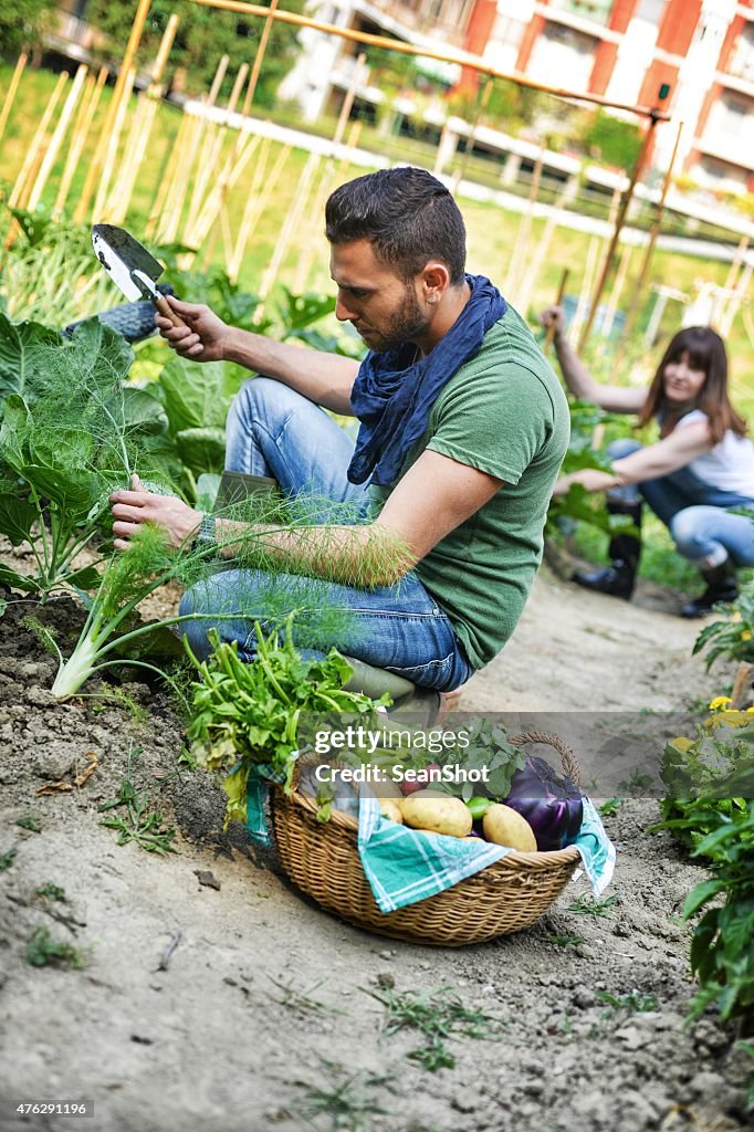 Les personnes travaillant dans un jardin urbain ville de légumes