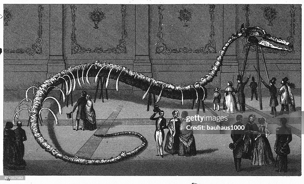 Victorian-era Engraving of a Dinosaur Skeleton