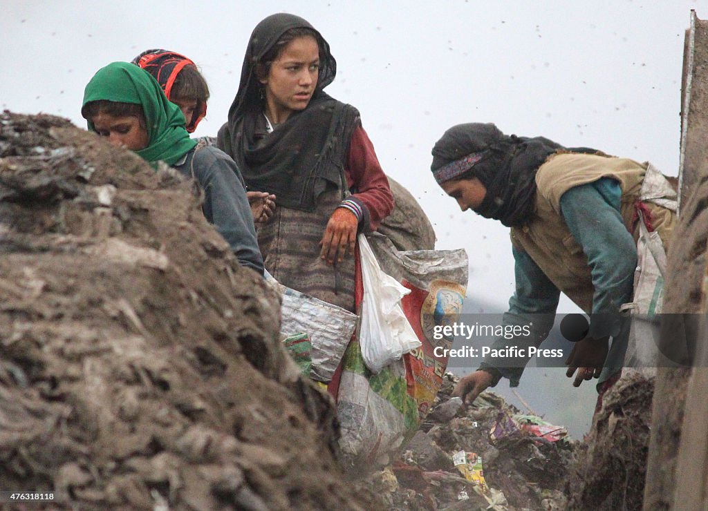 Gypsy rag-pickers search for recyclable items at a garbage...